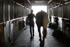 Equine/Stables & Horse Riding